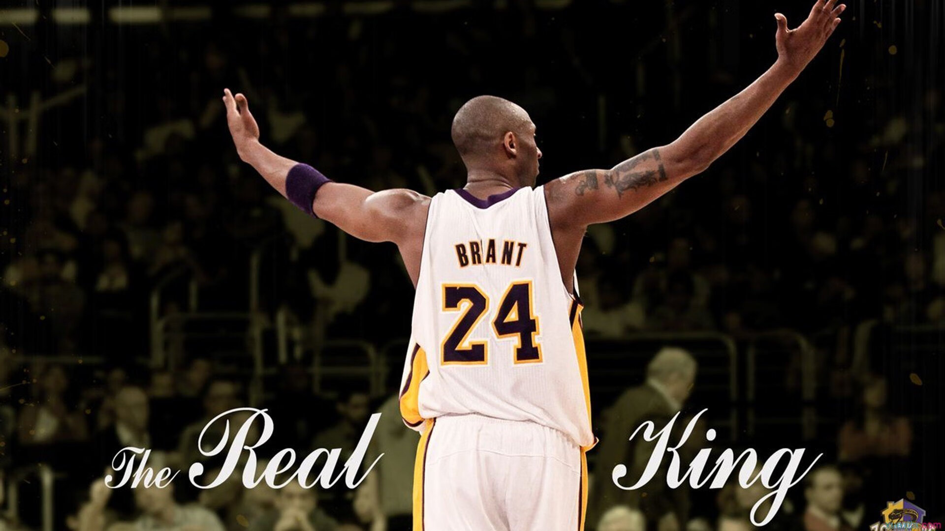 银箭风暴席卷蒙扎，佩雷兹关键一击助迈凯伦横扫红牛二队